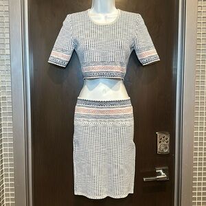 ✨ BCBG Max Azria Boho Bodycon Crop Top & Skirt Set ✨